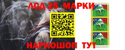 дмт Краснодар
