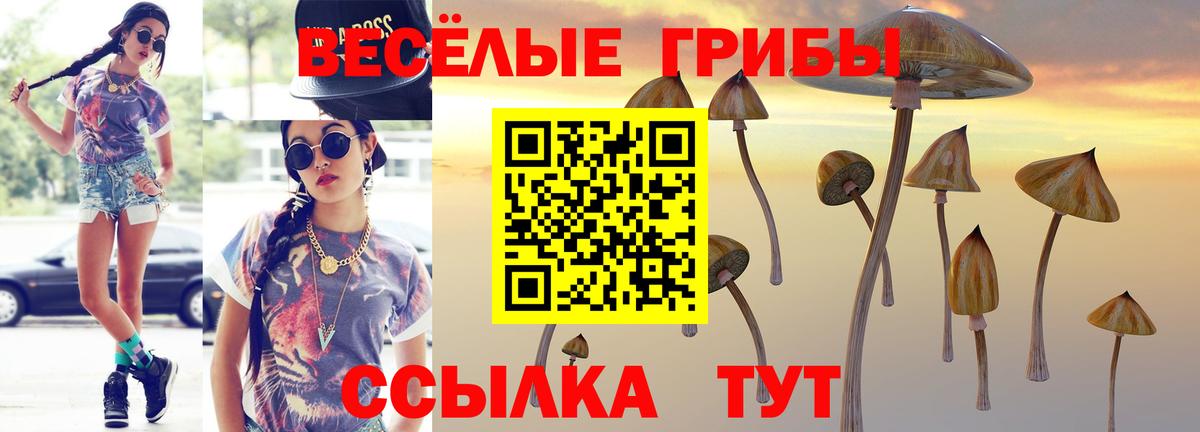 Псилоцибиновые грибы прущие грибы Коломна